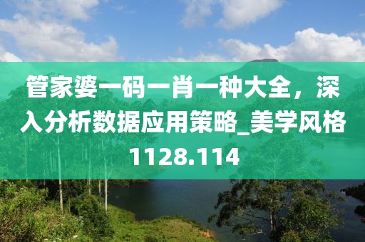 管家婆一码一肖一种大全，深入分析数据应用策略_美学风格1128.114