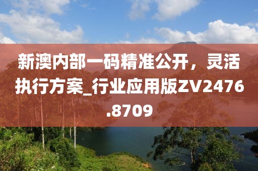 新澳内部一码精准公开，灵活执行方案_行业应用版ZV2476.8709