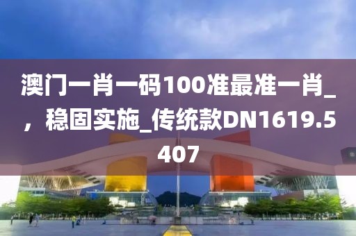 澳门一肖一码100准最准一肖_，稳固实施_传统款DN1619.5407