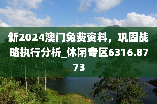 新2024澳门兔费资料，巩固战略执行分析_休闲专区6316.8773
