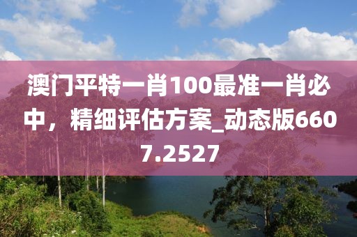 澳门平特一肖100最准一肖必中，精细评估方案_动态版6607.2527