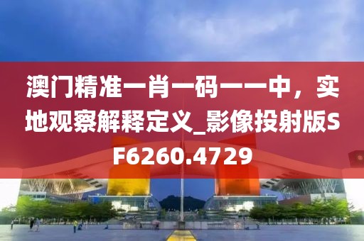 澳门精准一肖一码一一中，实地观察解释定义_影像投射版SF6260.4729