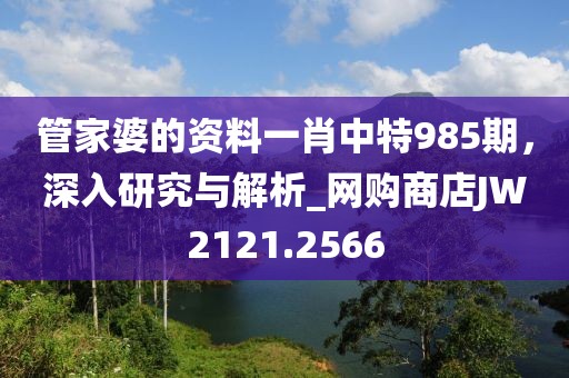管家婆的资料一肖中特985期，深入研究与解析_网购商店JW2121.2566