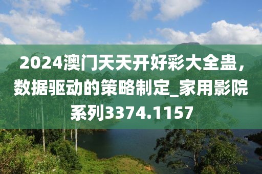 2024澳门天天开好彩大全蛊，数据驱动的策略制定_家用影院系列3374.1157