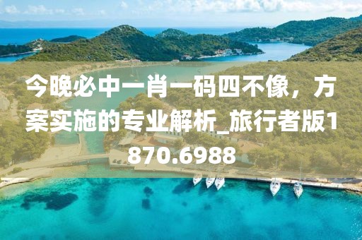 今晚必中一肖一码四不像，方案实施的专业解析_旅行者版1870.6988
