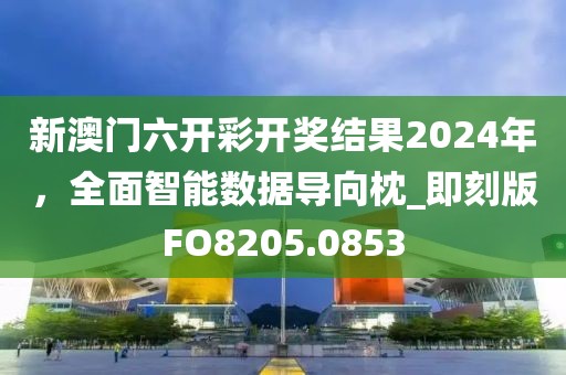 2024年11月 第311页
