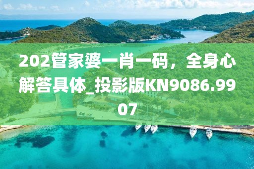 202管家婆一肖一码，全身心解答具体_投影版KN9086.9907
