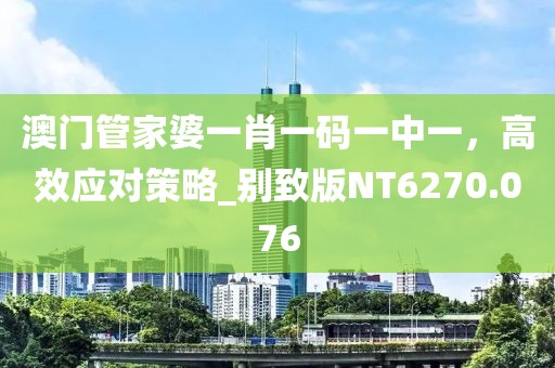 澳门管家婆一肖一码一中一，高效应对策略_别致版NT6270.076