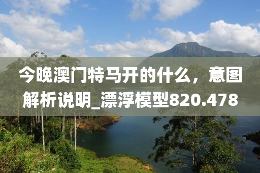 今晚澳门特马开的什么，意图解析说明_漂浮模型820.478