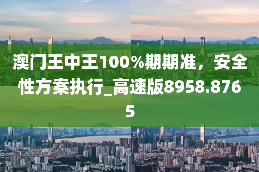 澳门王中王100%期期准，安全性方案执行_高速版8958.8765