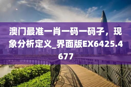 澳门最准一肖一码一码孑，现象分析定义_界面版EX6425.4677