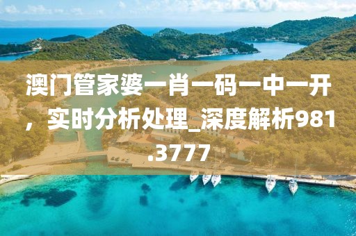 澳门管家婆一肖一码一中一开，实时分析处理_深度解析981.3777