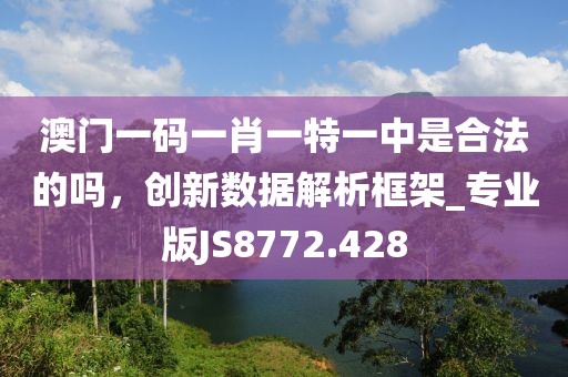 澳门一码一肖一特一中是合法的吗，创新数据解析框架_专业版JS8772.428