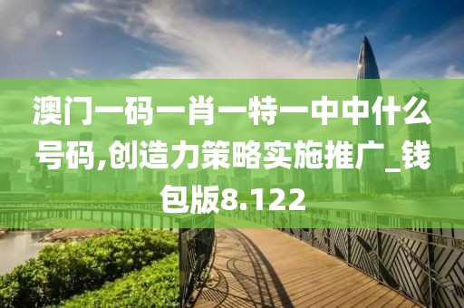澳门一码一肖一特一中中什么号码,创造力策略实施推广_钱包版8.122