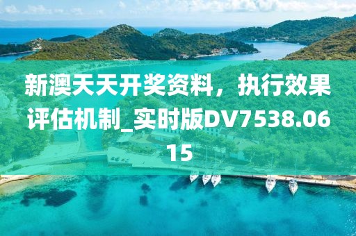 新澳天天开奖资料，执行效果评估机制_实时版DV7538.0615