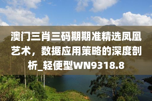 澳门三肖三码期期准精选凤凰艺术，数据应用策略的深度剖析_轻便型WN9318.8
