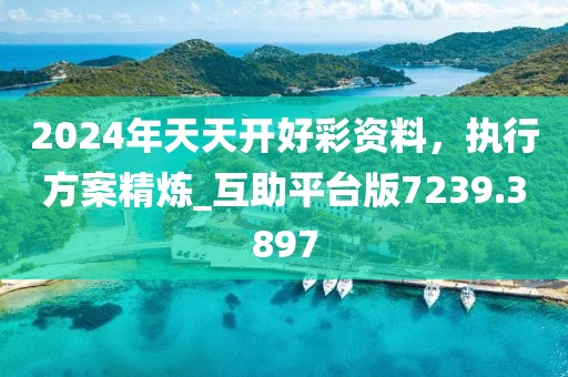 2024年天天开好彩资料，执行方案精炼_互助平台版7239.3897