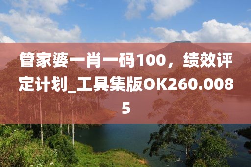 管家婆一肖一码100，绩效评定计划_工具集版OK260.0085
