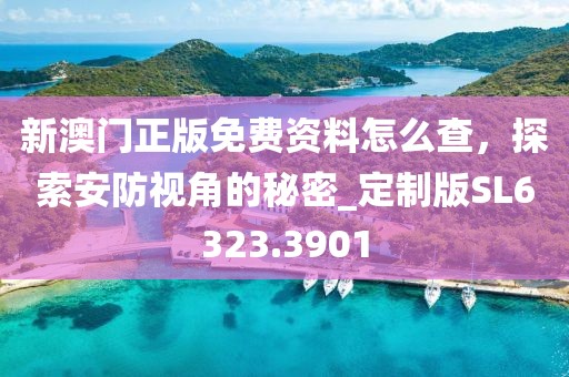 新澳门正版免费资料怎么查，探索安防视角的秘密_定制版SL6323.3901