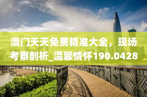 澳门天天免费精准大全，现场考察剖析_温馨情怀190.0428