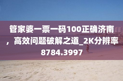 管家婆一票一码100正确济南，高效问题破解之道_2K分辨率8784.3997