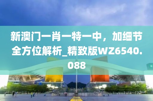 新澳门一肖一特一中，加细节全方位解析_精致版WZ6540.088