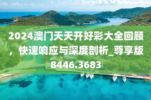 2024澳门天天开好彩大全回顾，快速响应与深度剖析_尊享版8446.3683