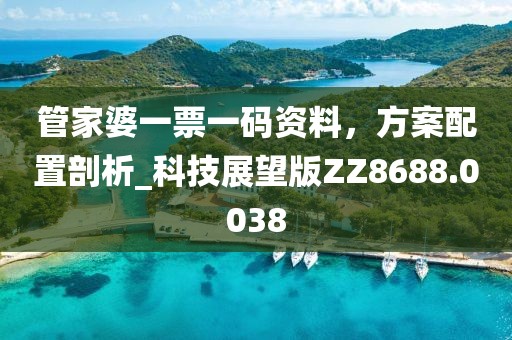 管家婆一票一码资料，方案配置剖析_科技展望版ZZ8688.0038