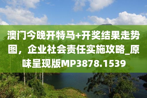 澳门今晚开特马+开奖结果走势图，企业社会责任实施攻略_原味呈现版MP3878.1539