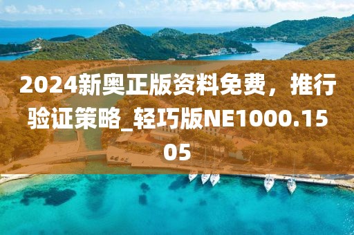 2024新奥正版资料免费，推行验证策略_轻巧版NE1000.1505