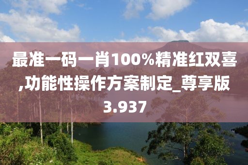 最准一码一肖100%精准红双喜,功能性操作方案制定_尊享版3.937