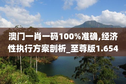 澳门一肖一码100%准确,经济性执行方案剖析_至尊版1.654