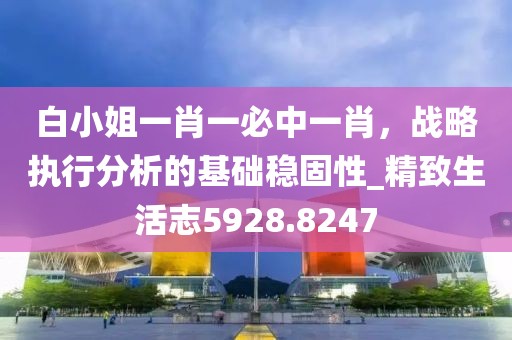 白小姐一肖一必中一肖，战略执行分析的基础稳固性_精致生活志5928.8247