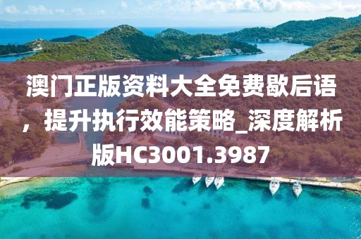 澳门正版资料大全免费歇后语，提升执行效能策略_深度解析版HC3001.3987
