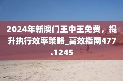 2024年新澳门王中王免费，提升执行效率策略_高效指南477.1245