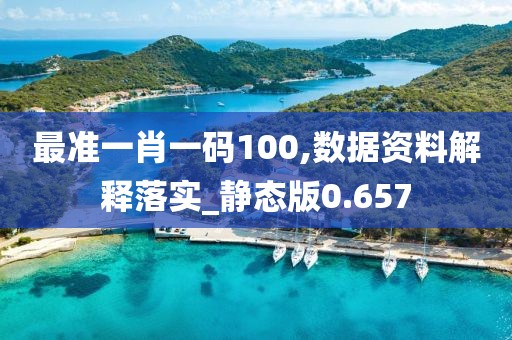 最准一肖一码100,数据资料解释落实_静态版0.657