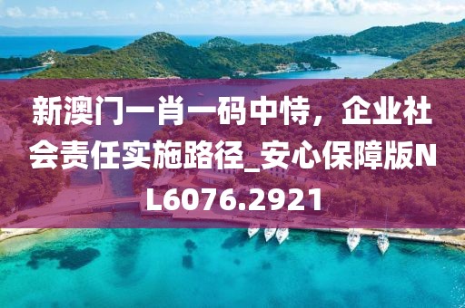 新澳门一肖一码中恃，企业社会责任实施路径_安心保障版NL6076.2921
