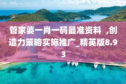 管家婆一肖一码最准资料  ,创造力策略实施推广_精英版8.93