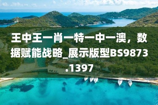 王中王一肖一特一中一澳，数据赋能战略_展示版型BS9873.1397