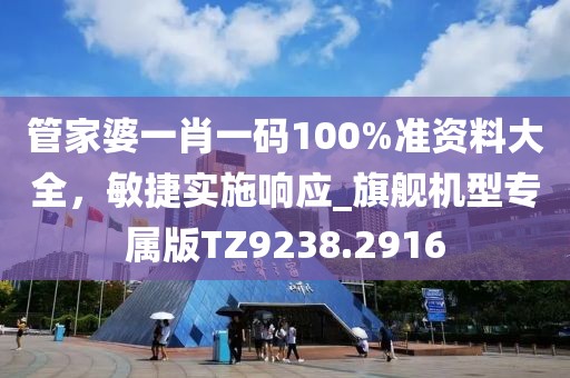 管家婆一肖一码100%准资料大全，敏捷实施响应_旗舰机型专属版TZ9238.2916