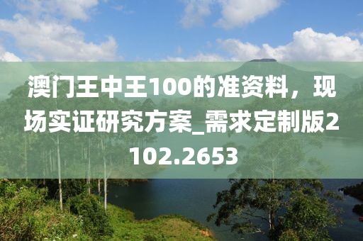 澳门王中王100的准资料，现场实证研究方案_需求定制版2102.2653