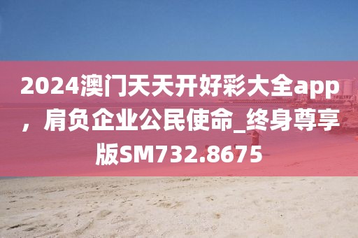 2024澳门天天开好彩大全app，肩负企业公民使命_终身尊享版SM732.8675