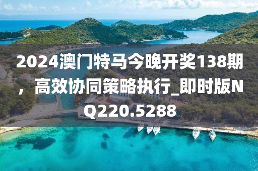 2024澳门特马今晚开奖138期，高效协同策略执行_即时版NQ220.5288