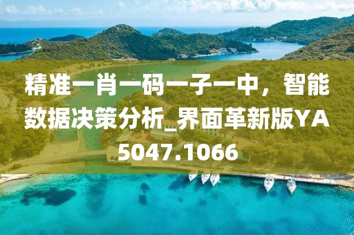 精准一肖一码一子一中，智能数据决策分析_界面革新版YA5047.1066