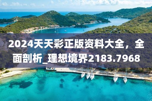 2024天天彩正版资料大全，全面剖析_理想境界2183.7968