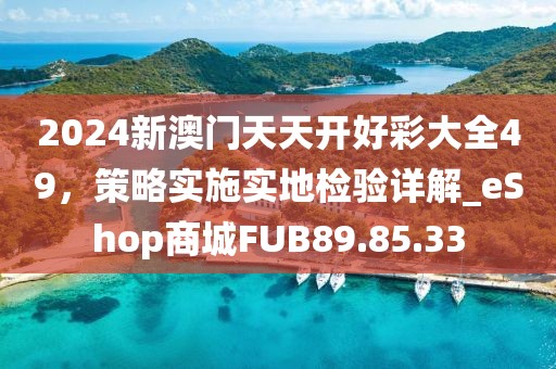 2024新澳门天天开好彩大全49，策略实施实地检验详解_eShop商城FUB89.85.33