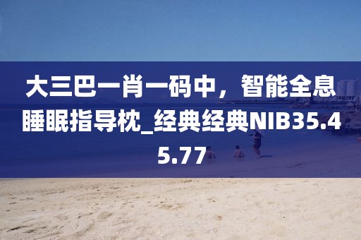 大三巴一肖一码中，智能全息睡眠指导枕_经典经典NIB35.45.77