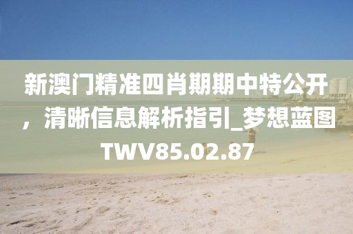 新澳门精准四肖期期中特公开，清晰信息解析指引_梦想蓝图TWV85.02.87
