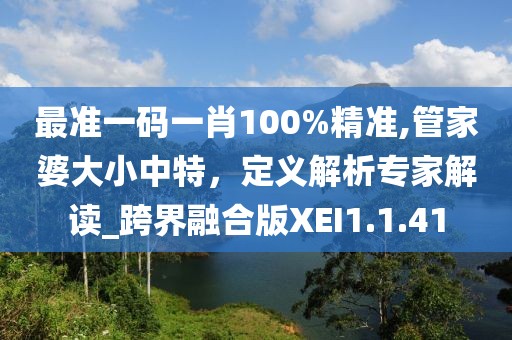 最准一码一肖100%精准,管家婆大小中特，定义解析专家解读_跨界融合版XEI1.1.41
