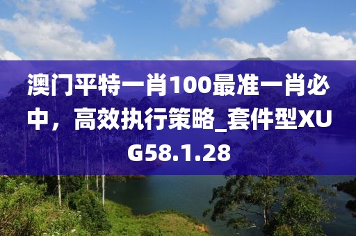 澳门平特一肖100最准一肖必中，高效执行策略_套件型XUG58.1.28